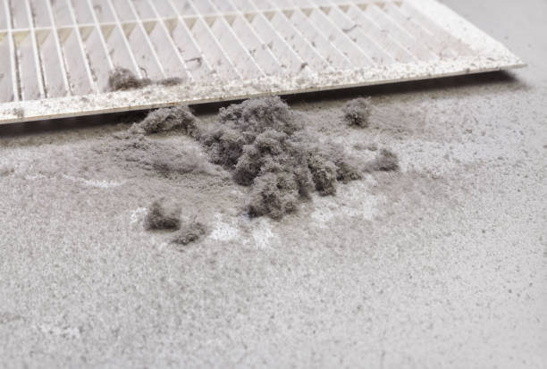 Best Commercial Air Duct Cleaning  in Trinity, TX