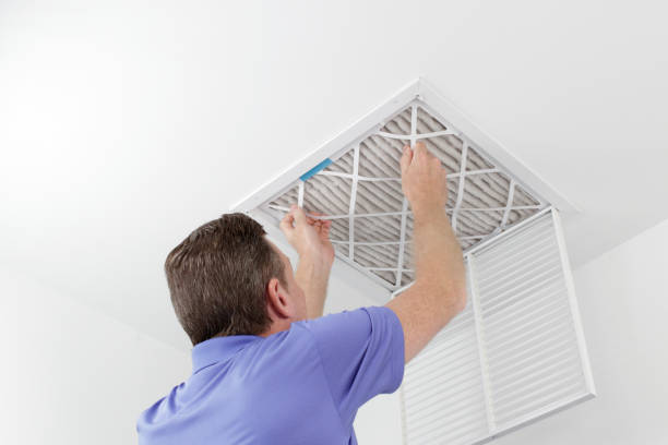 Best Home Air Vent Cleaning  in Trinity, TX